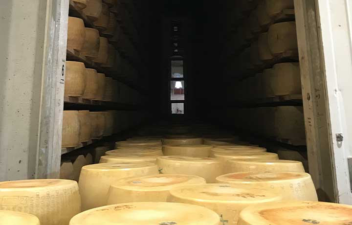     Magazzini Generali Fiduciari in Mantua
